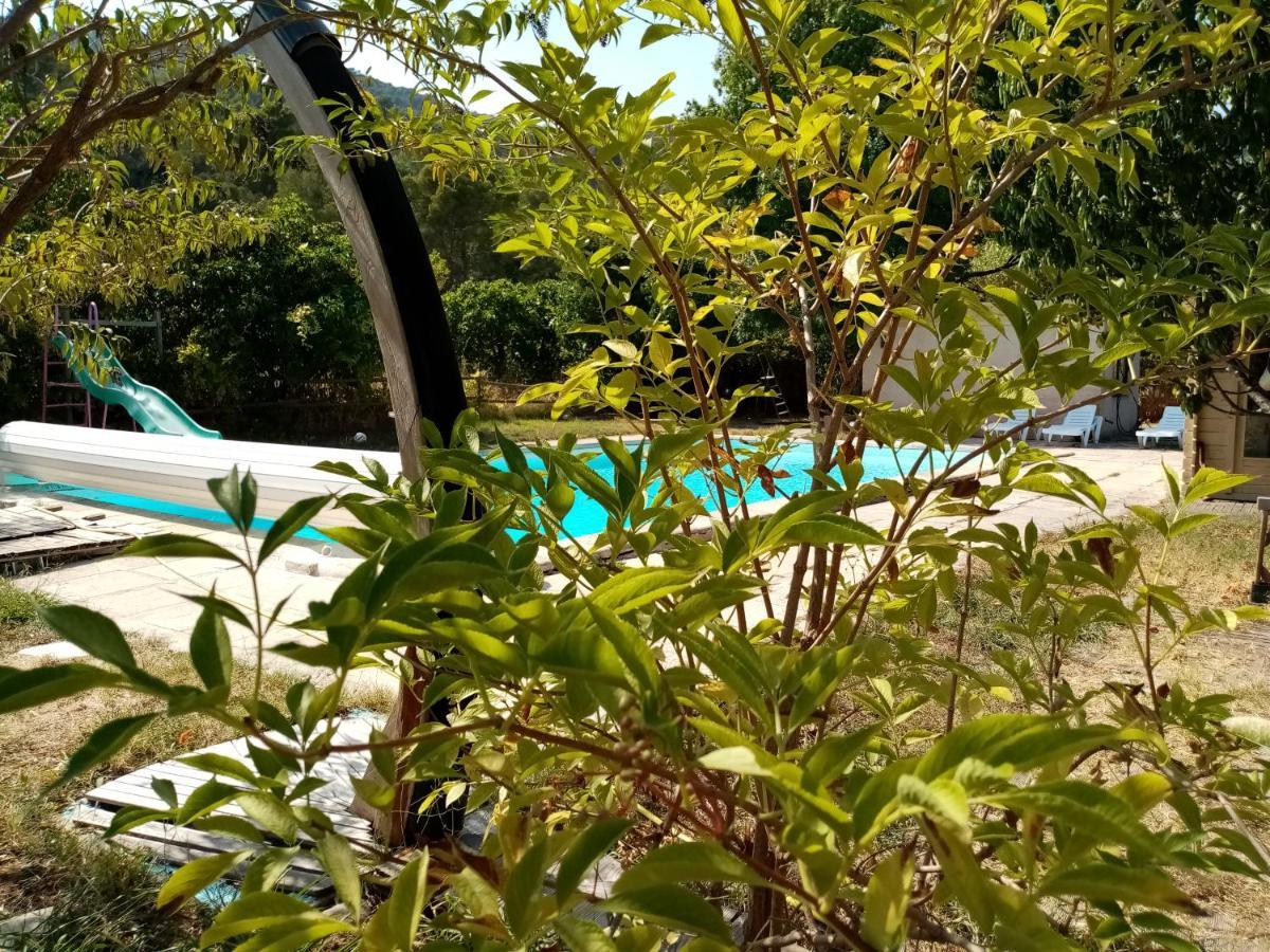 Maison D'Hotes Eco-Responsable Avec Piscine 6X12M Chateaudouble  Exterior photo