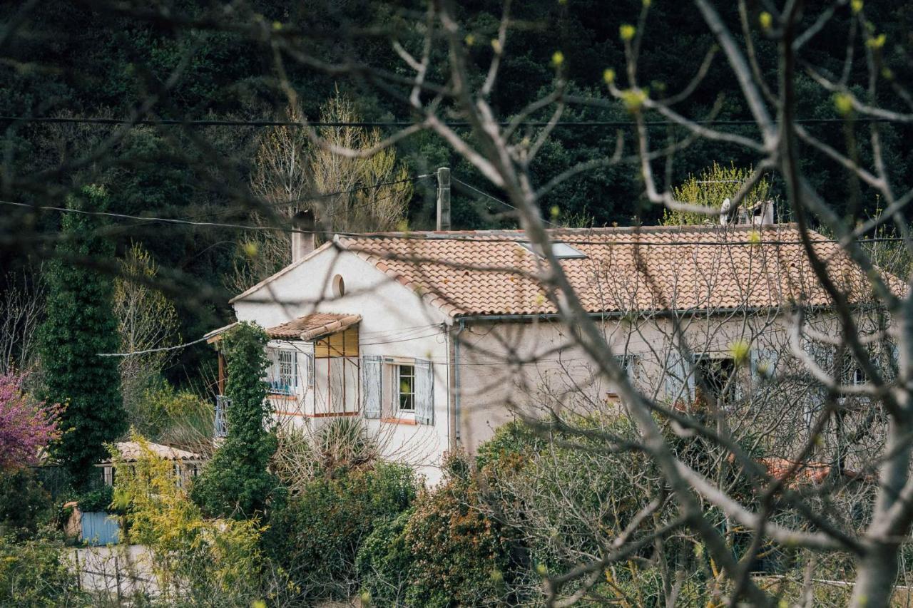 Maison D'Hotes Eco-Responsable Avec Piscine 6X12M Chateaudouble  Exterior photo