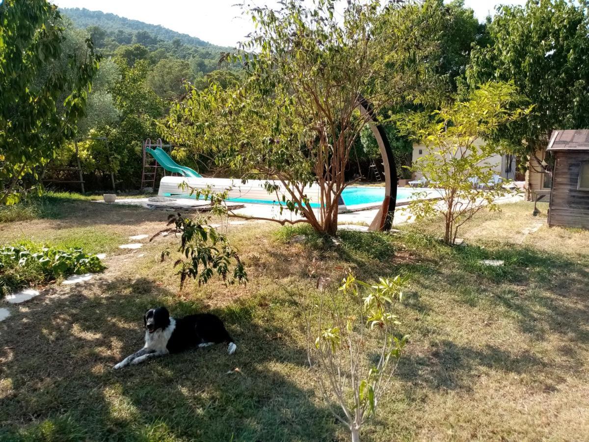 Maison D'Hotes Eco-Responsable Avec Piscine 6X12M Chateaudouble  Exterior photo